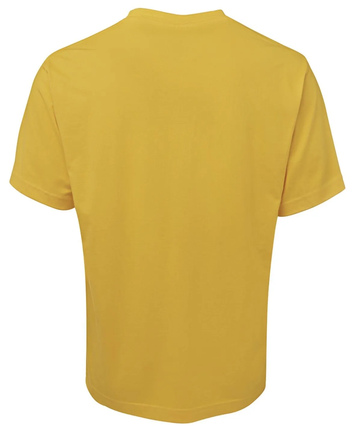 Adults Plain Faction/House T-Shirt {Pre-Order}