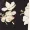 Navy Floral Wrap Culotte Jumpsuit