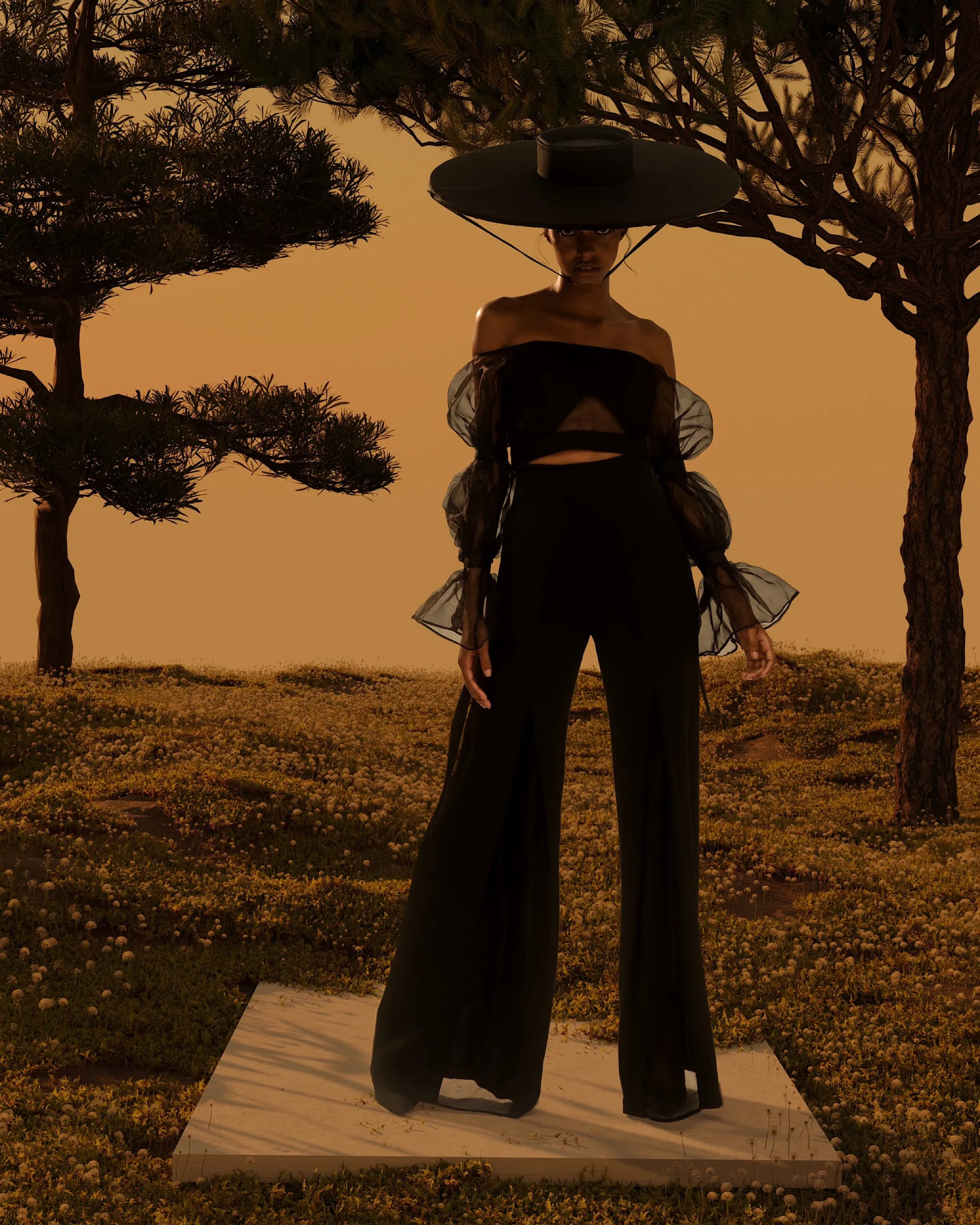 OMARI | Sheer Panel Wide Leg Pants