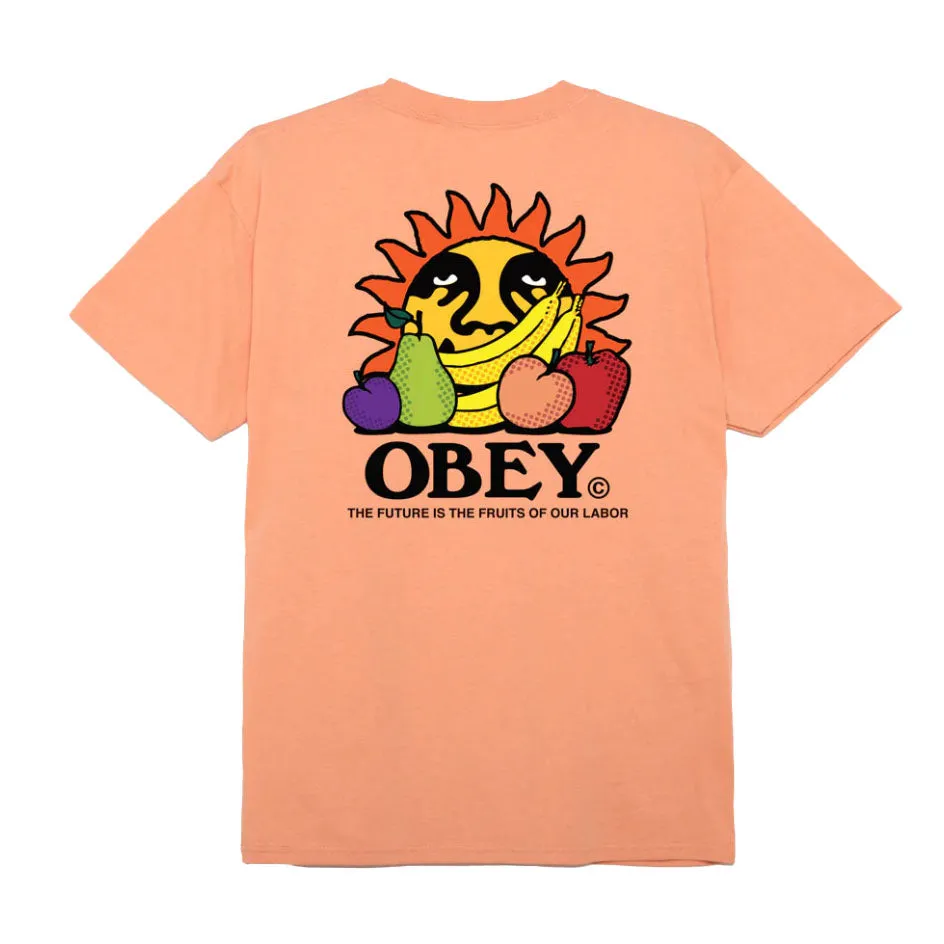 The future is the fruits of our labour classic tee