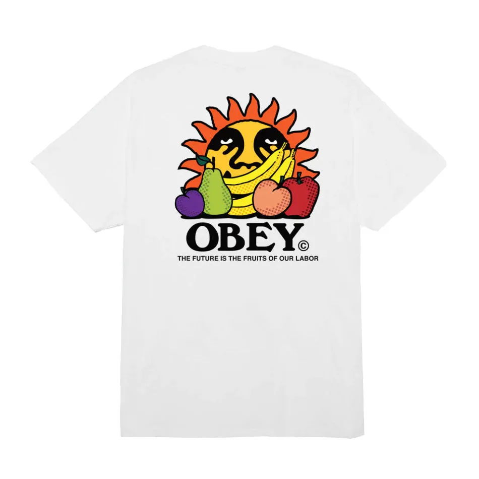 The future is the fruits of our labour classic tee