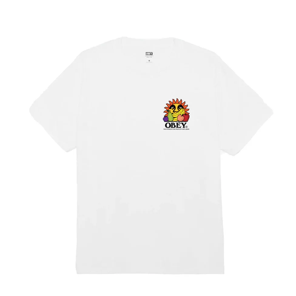 The future is the fruits of our labour classic tee