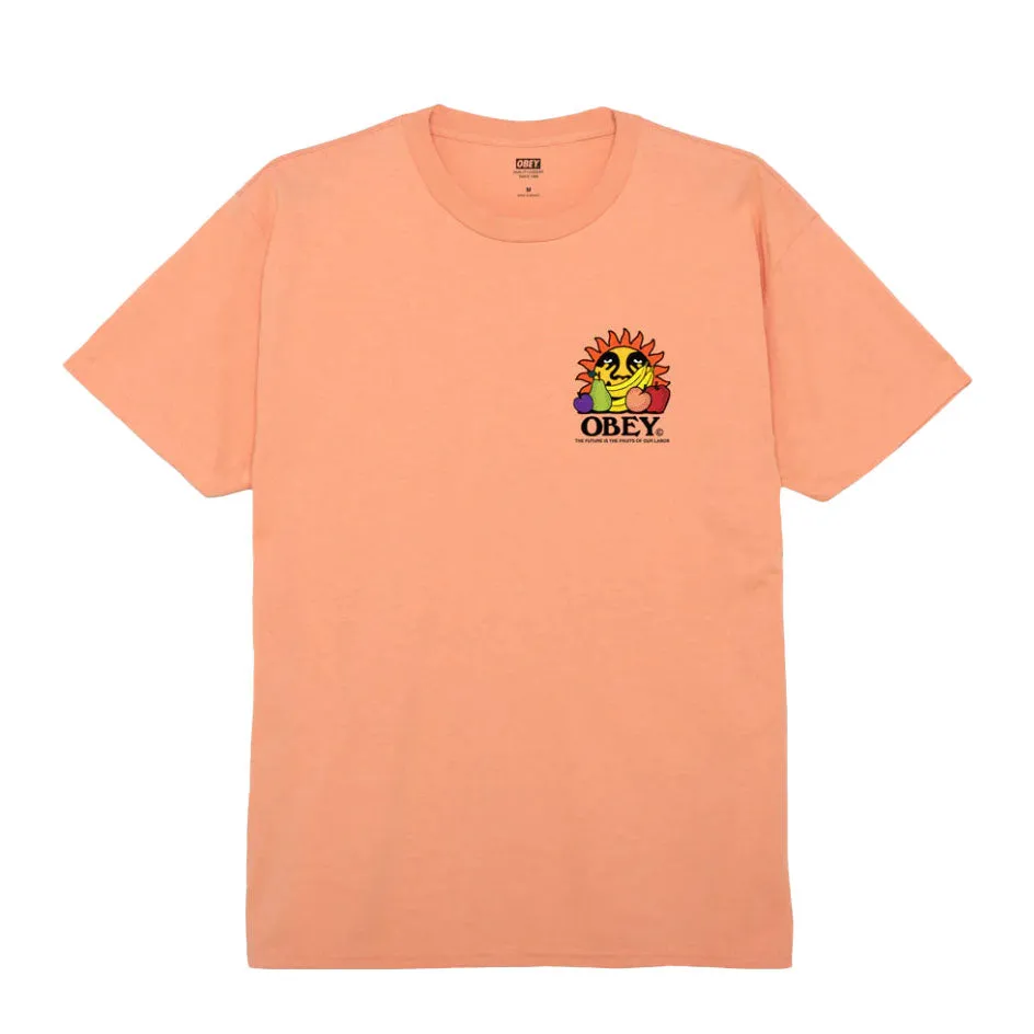 The future is the fruits of our labour classic tee