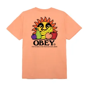 The future is the fruits of our labour classic tee